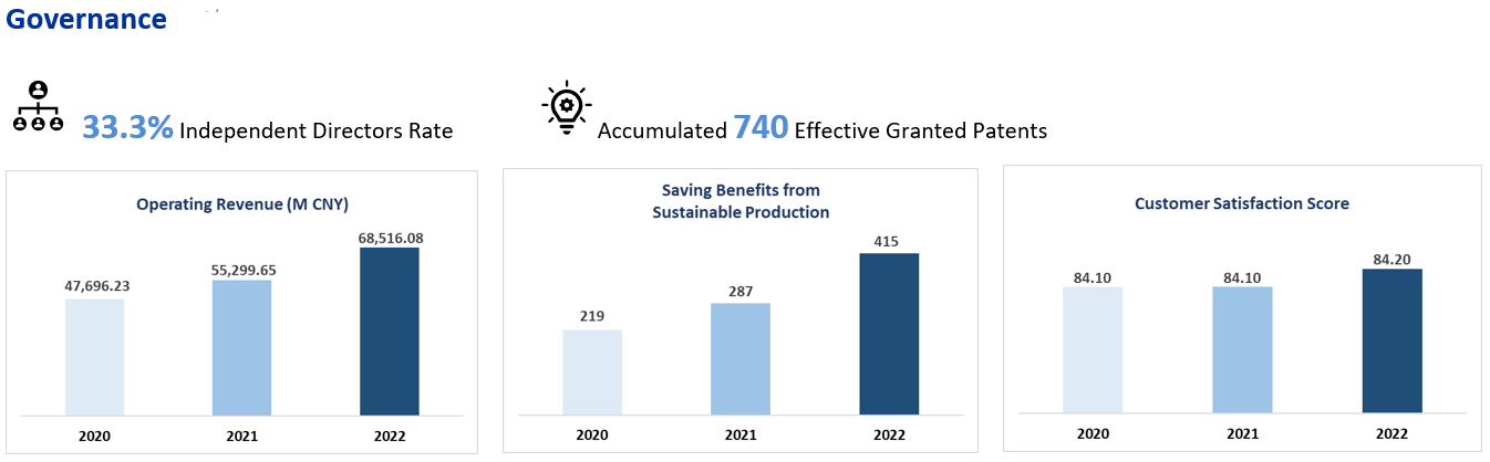 Governance Performance